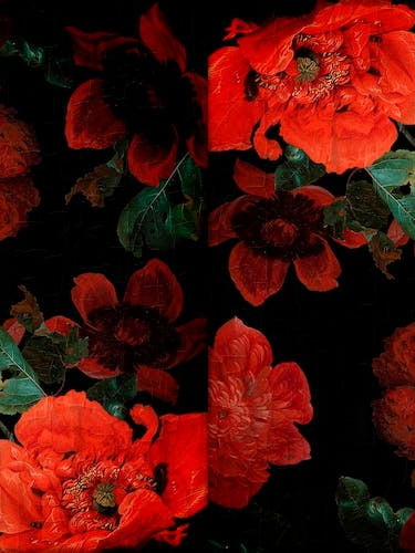 Antique Dutch Vintage Poppies Garden