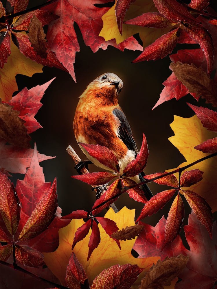 Autumn Bird