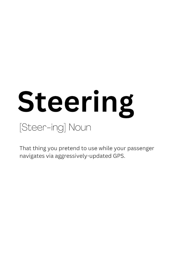 Steering Definition Meaning