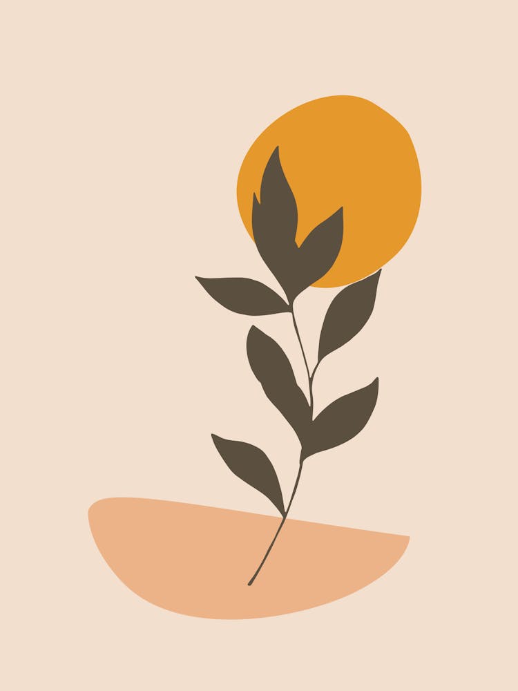 Leaf In The Sun