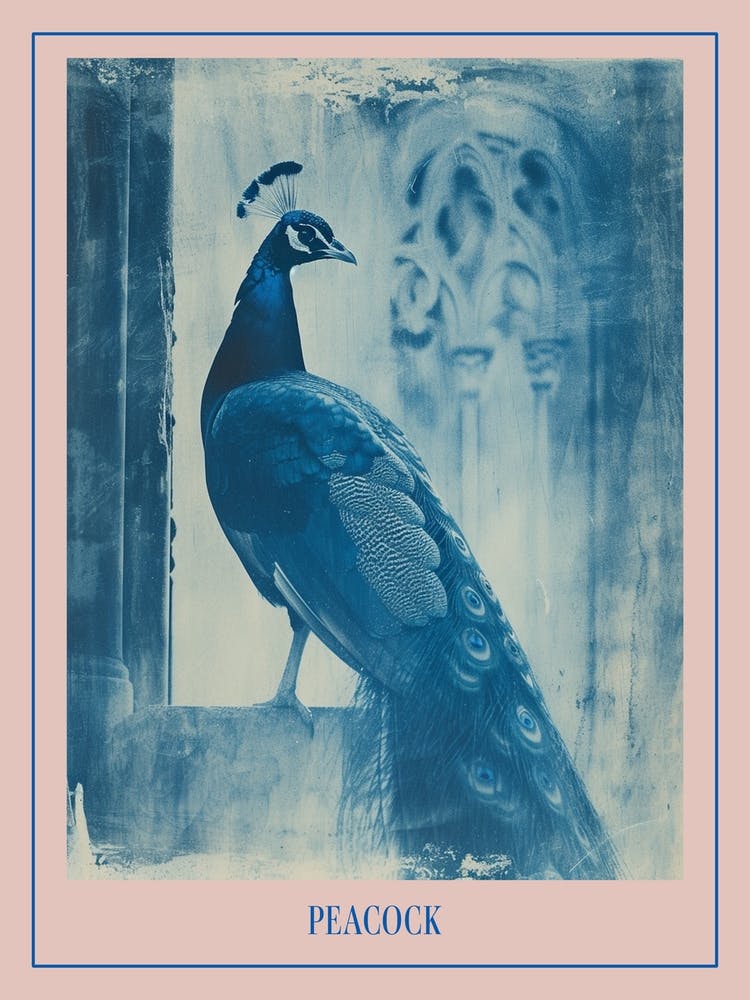 Peacock In A Church Abbey Cyanotype Inspired 2 Poster