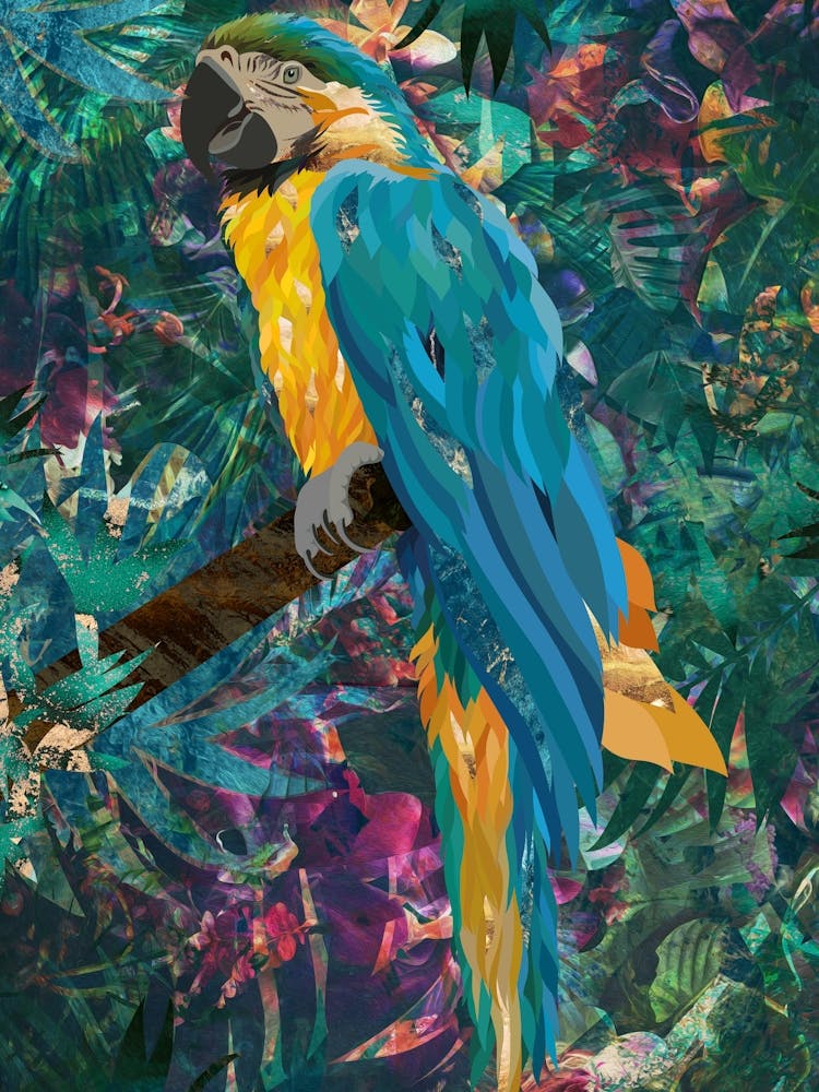 Tropical Parrot