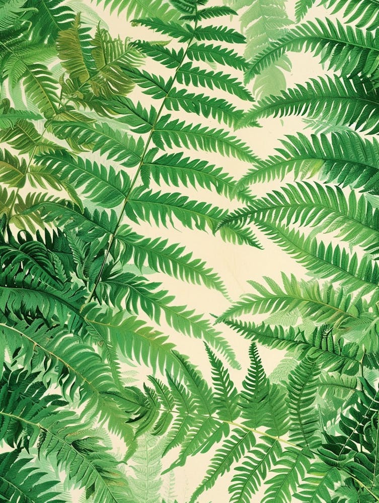 Pattern Poster Button Fern 1
