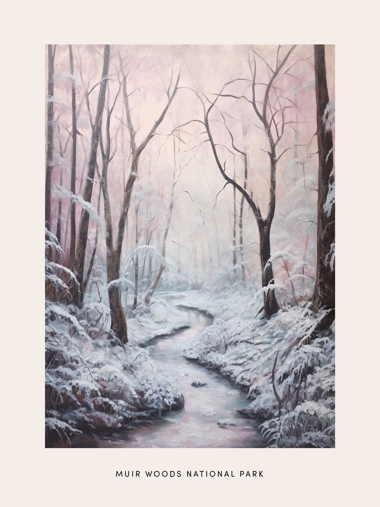 Dreamy Winter National Park Poster  Muir Woods National Park United States 3