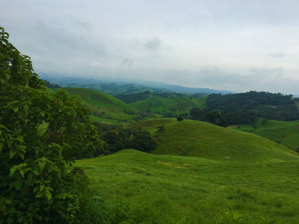 Lush Countryside in Costa Rica during Rainy Season
