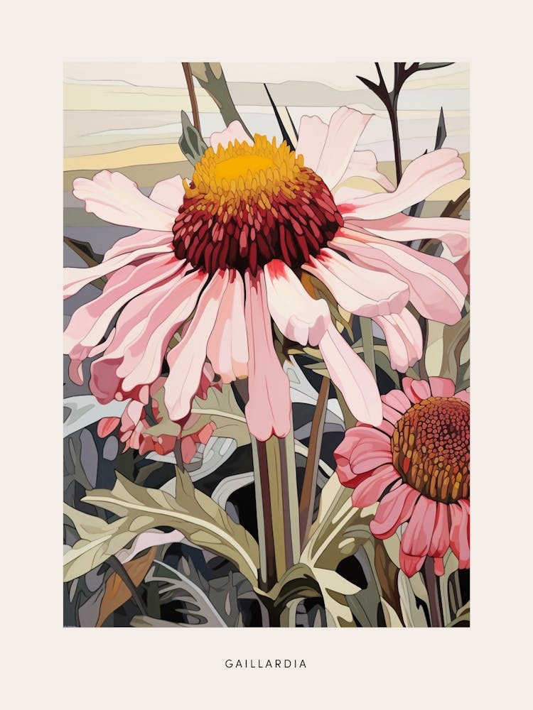 Flower Illustration Gaillardia 4 Poster