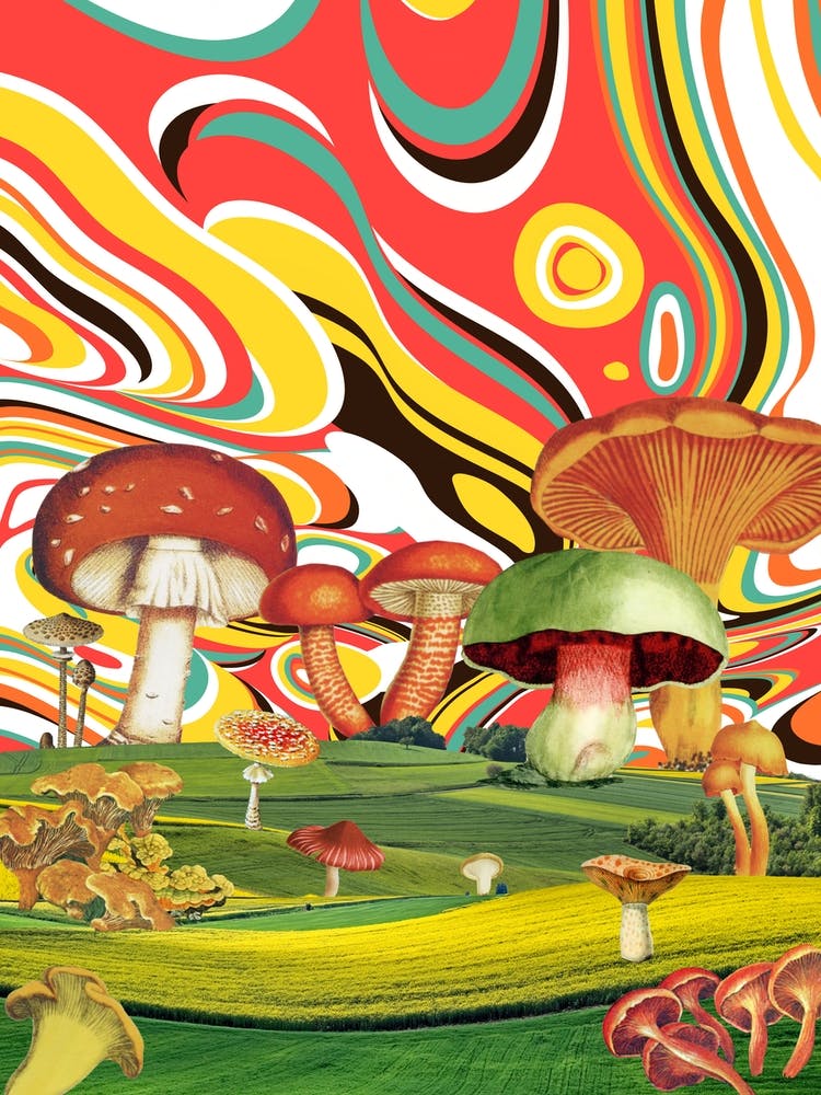 Psychedelische Träume