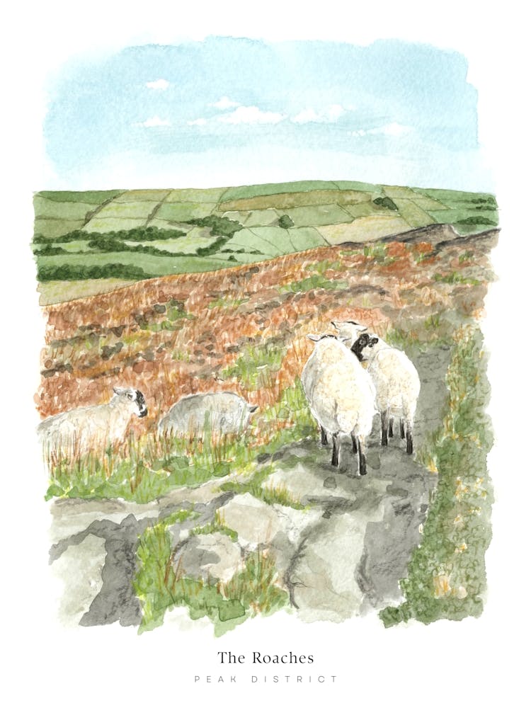 Peak District The Roaches England