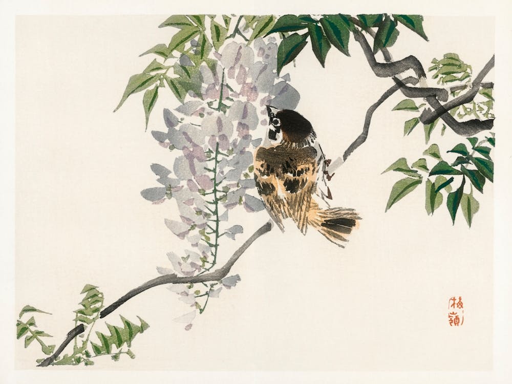 Sparrow On A Branch, Kōno Bairei