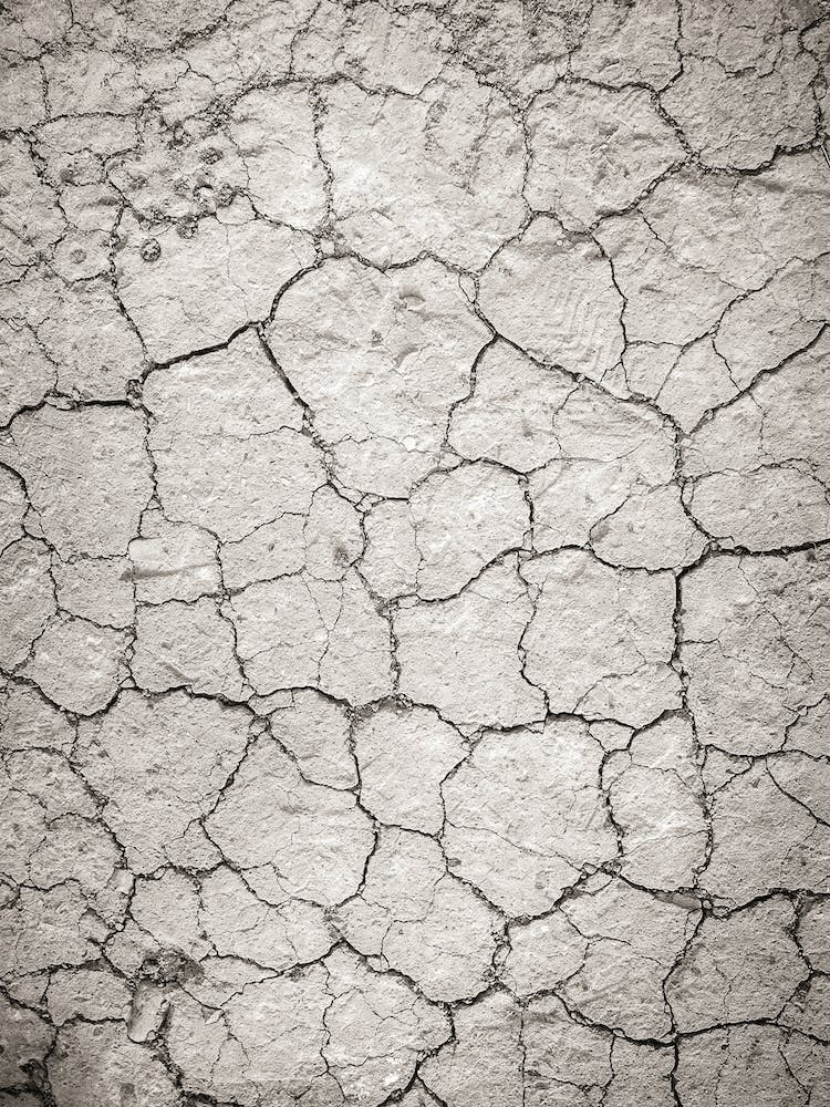 Cracked Earth