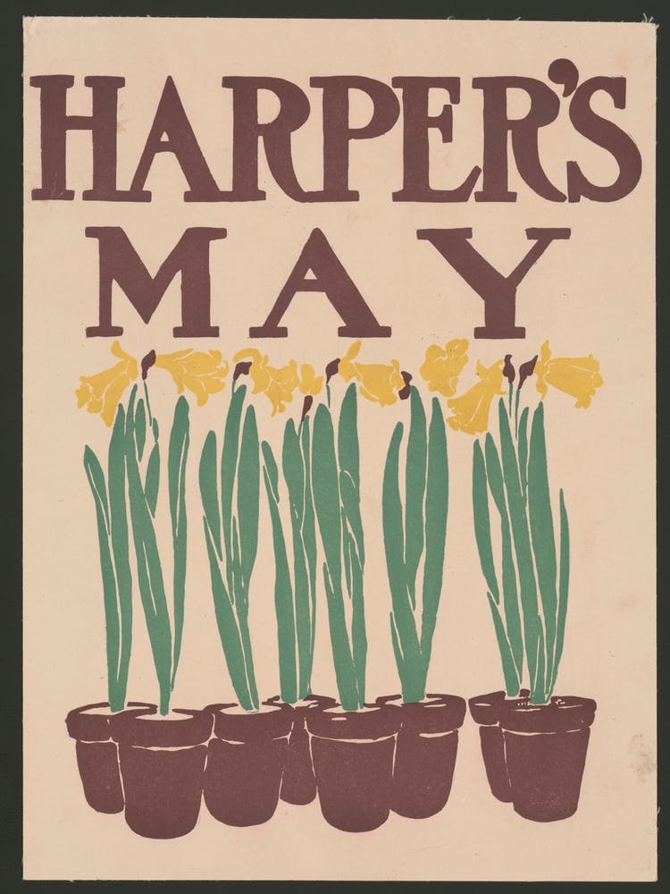 Vintage Flower Illustration (1899), Edward Penfield 1