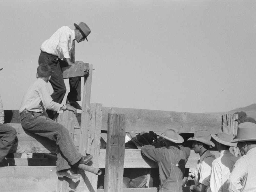 Spectators At Bean Day Rodeo, Wagon Mound, New Mexico By Russell Le