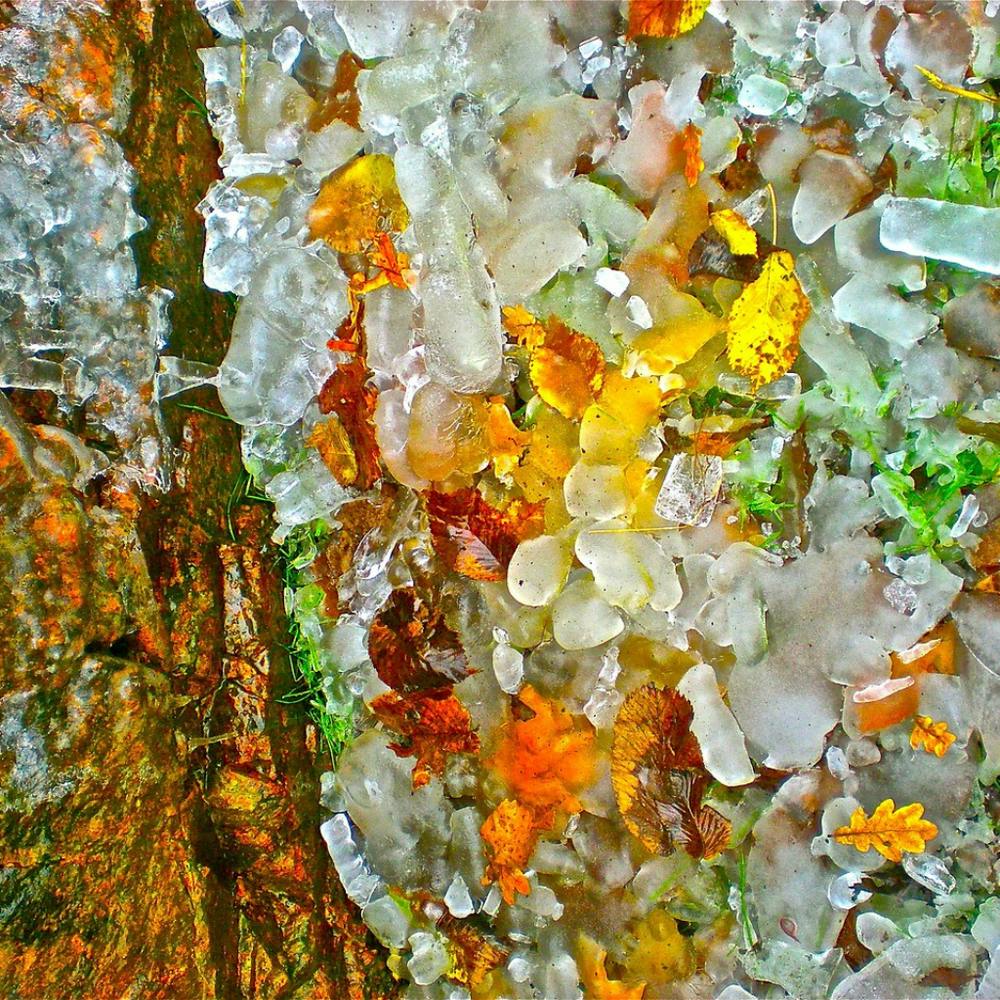 Glace et Verre de Mer