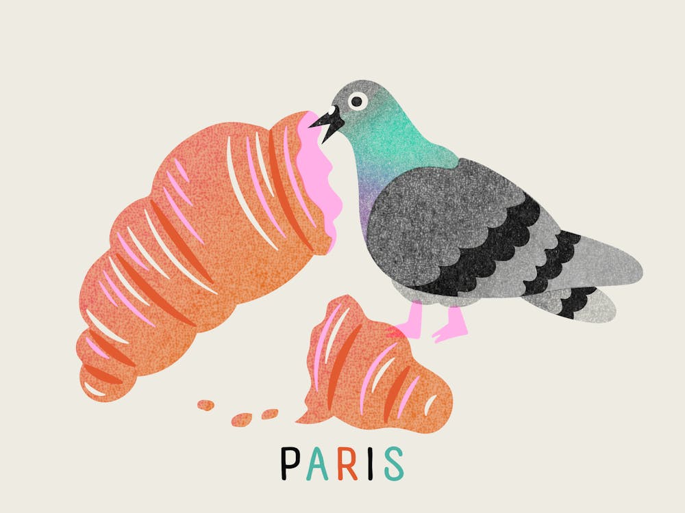Paris Pigeon Eating a Croissant City Travel