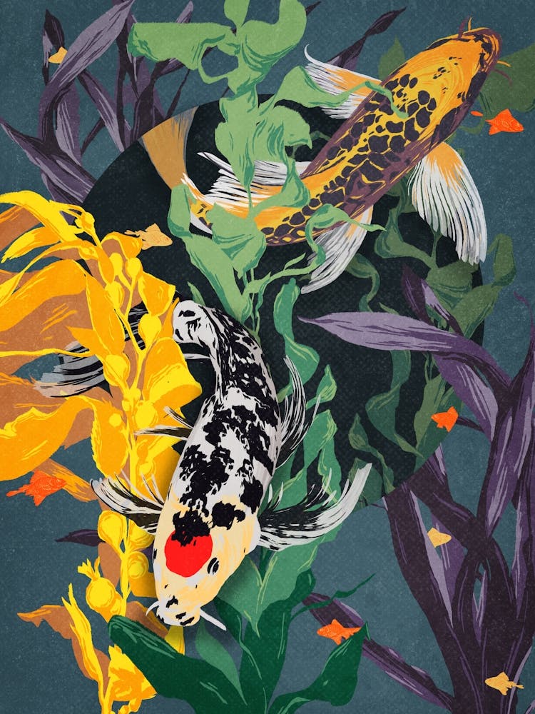 Koi Fish