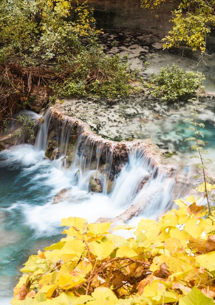 Türkiswasser Gelbe Blätter