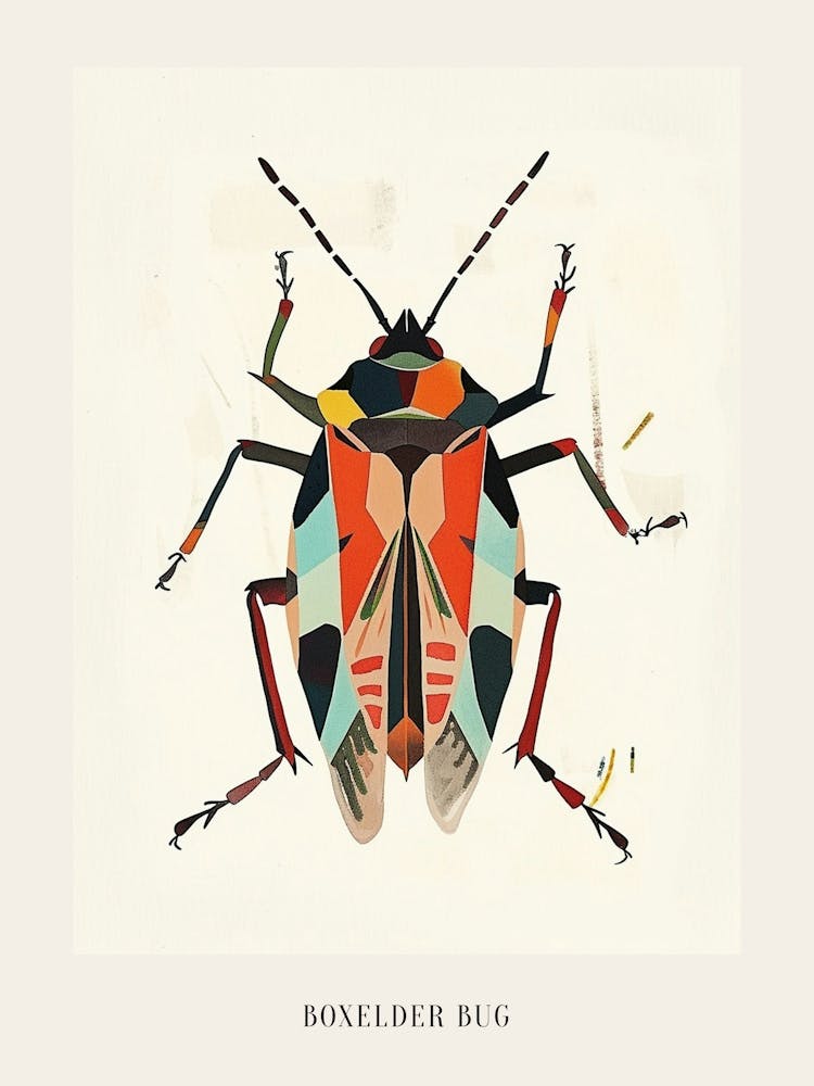 Colourful Insect Illustration Boxelder Bug 8 Poster