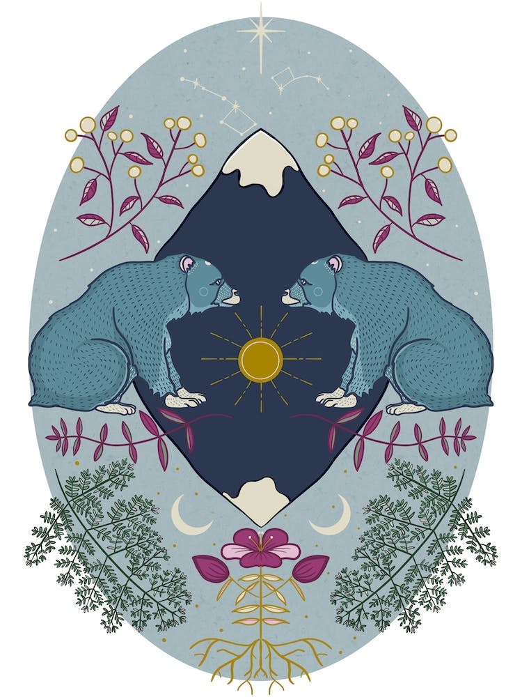 Sun And Moon Bears