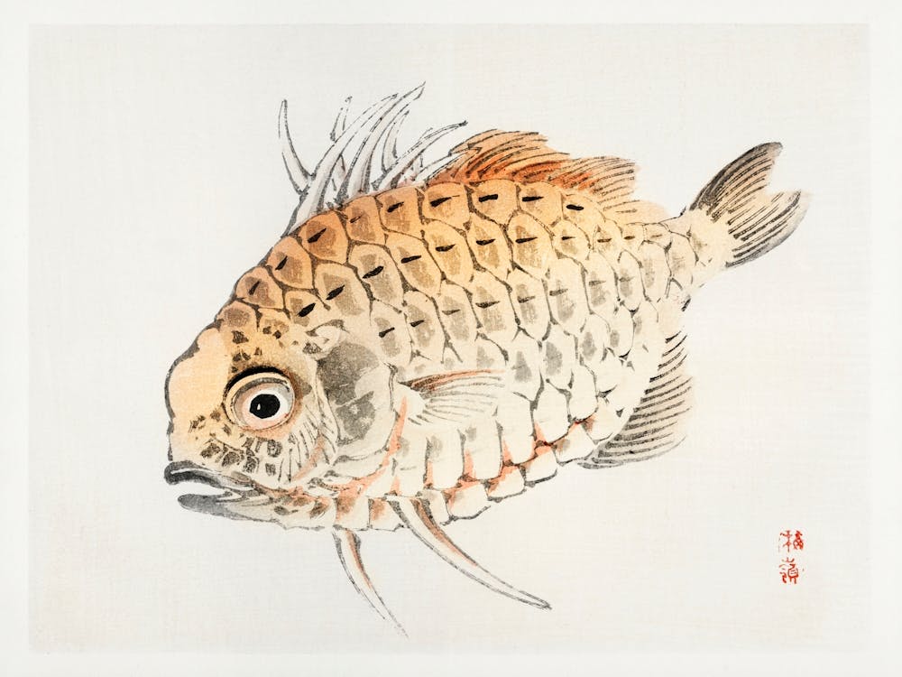 Fish, Kōno Bairei