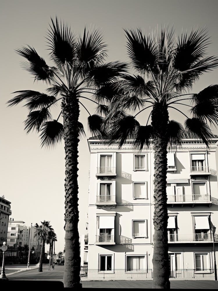 Nizza, Frankreich, Fotografie In Schwarz Und Weiß 2