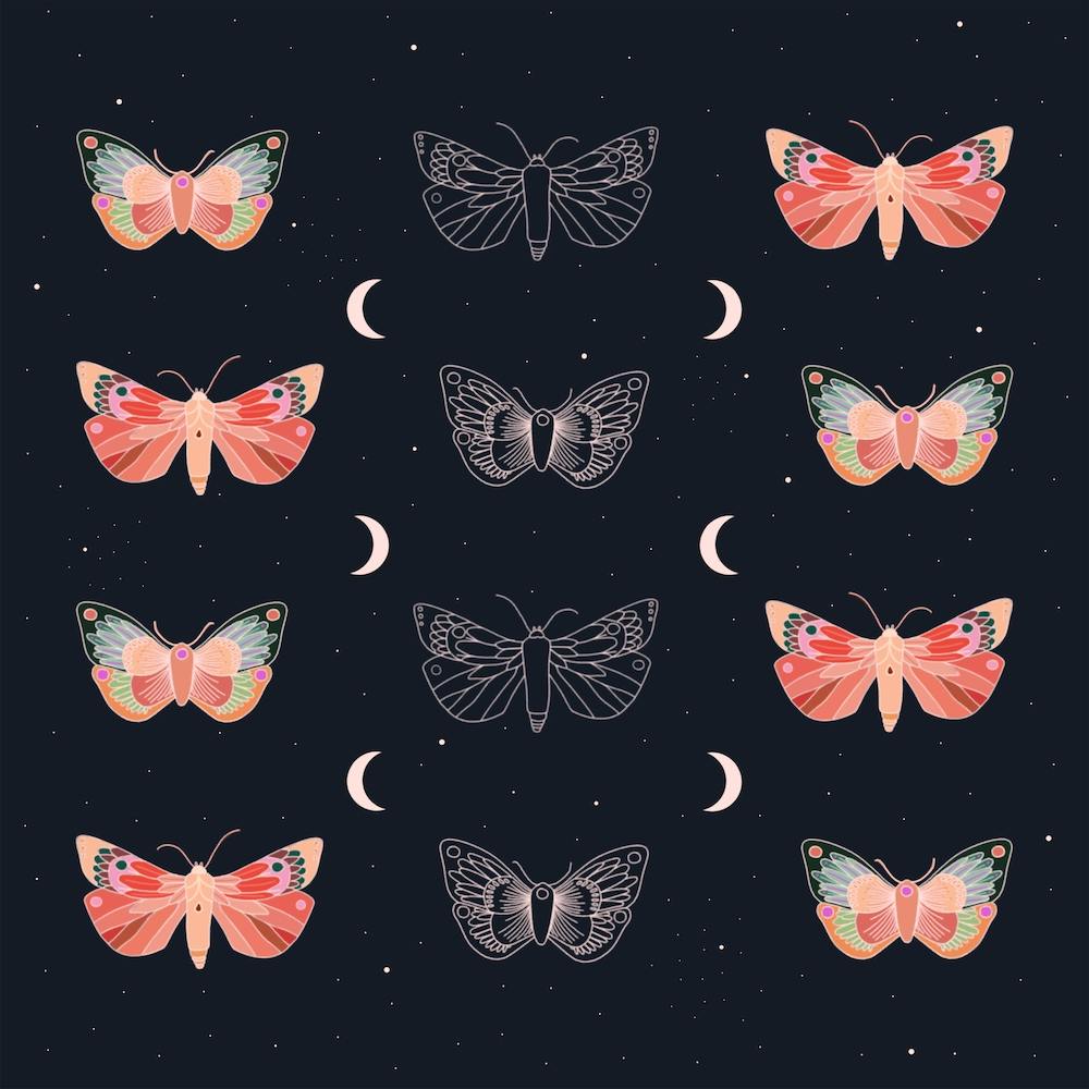 Moths And Moons