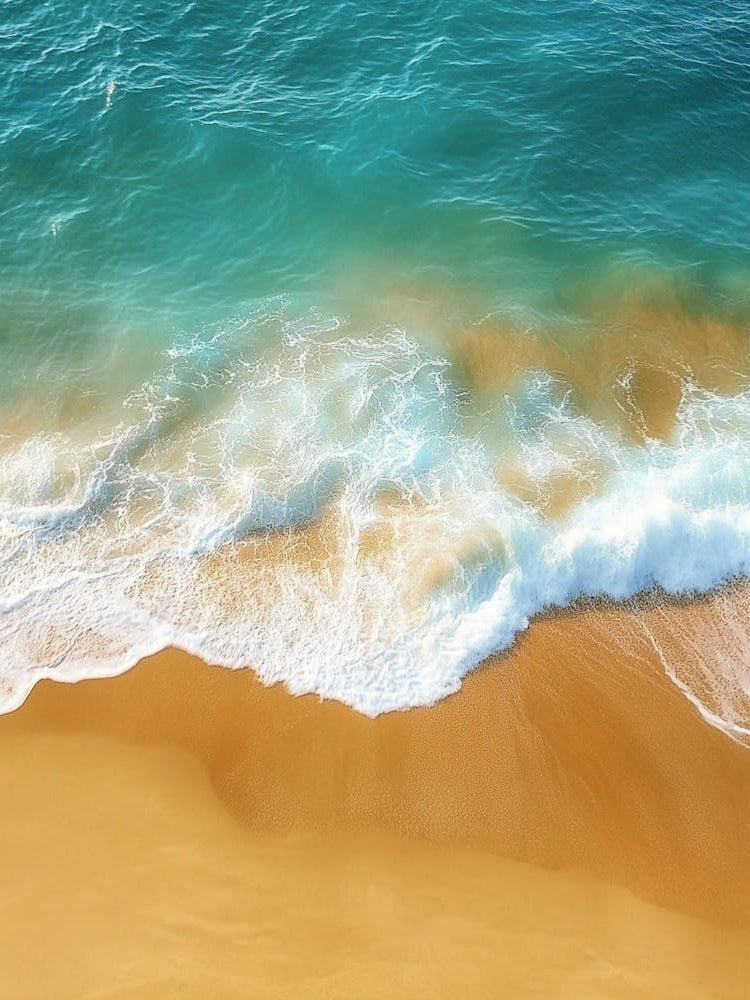 Aerial View Of A Beach 151