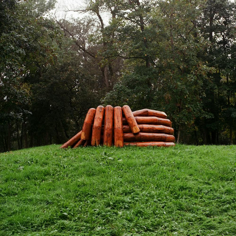 Forest Hands 1