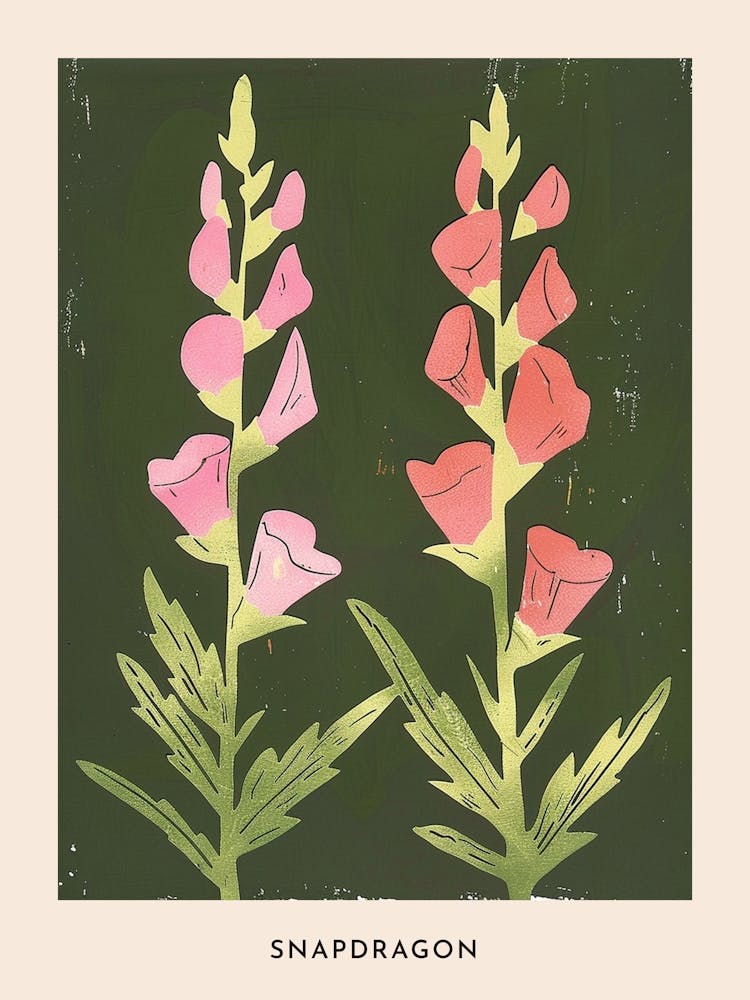 Pink & Green Snapdragon 1 Flower Poster
