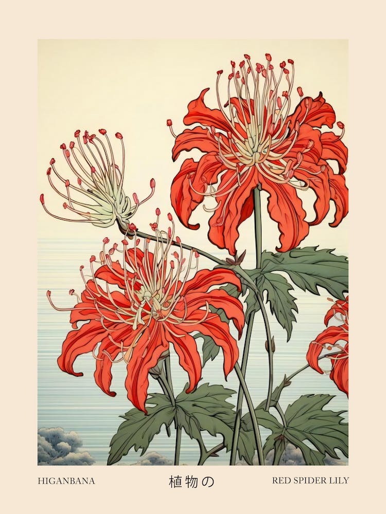 Higanbana Red Spider Lily 2 Vintage Japanese Botanical Poster