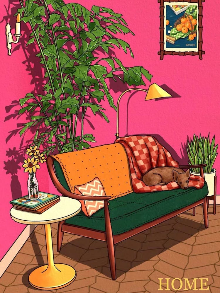 Home and dog