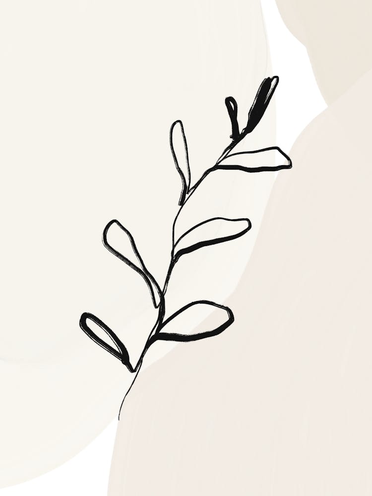 Lily Of The Valley 9