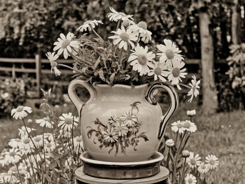 Gänseblümchen in einer Vase 1