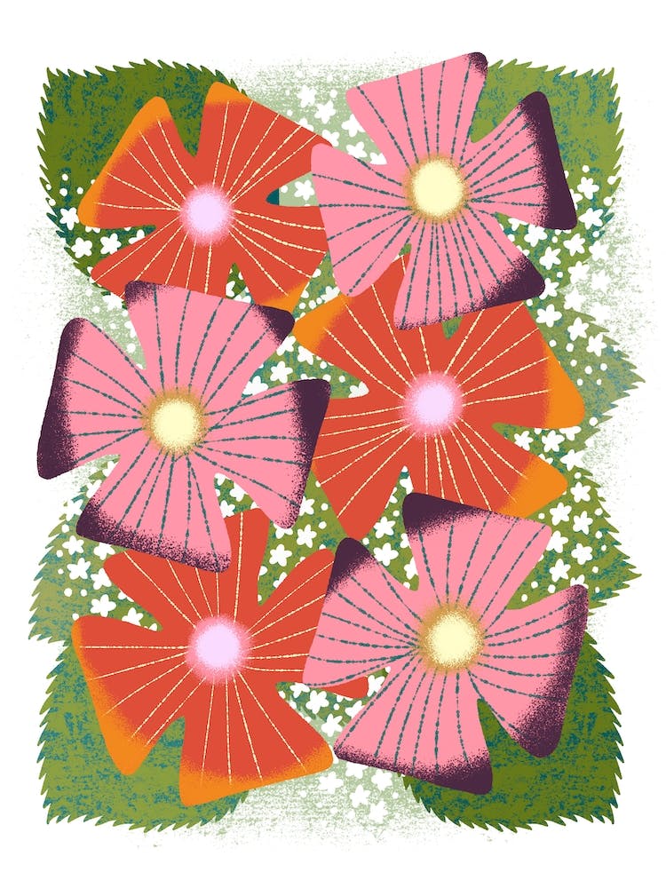 Fresh Pink Red And White Flower Bouquet 