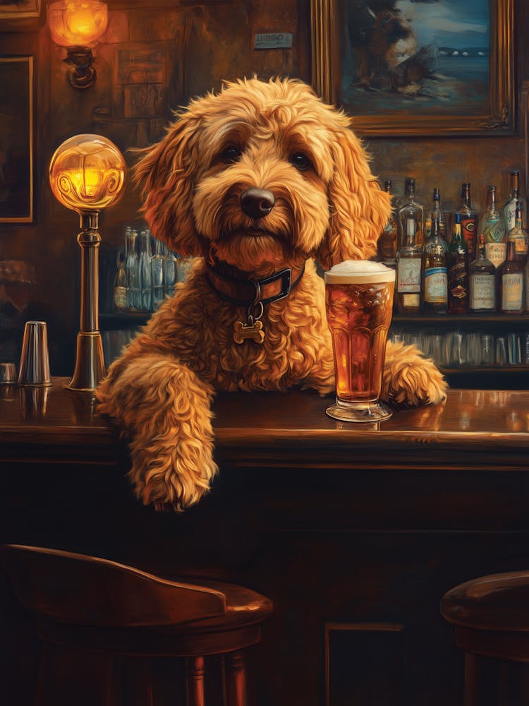 Cavapoo Cockapoo Having A Beer At The Bar
