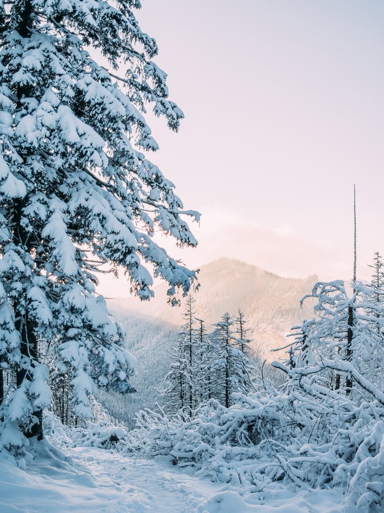 Coucher de Soleil en Montagne Hivernale