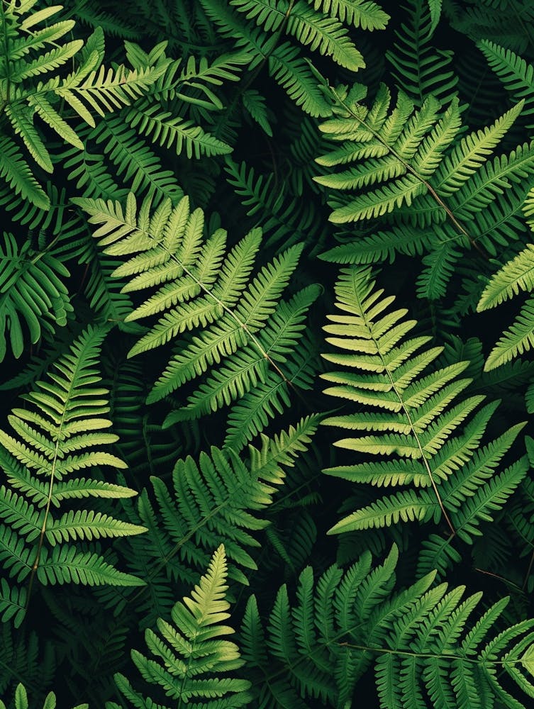 Pattern Poster Marsh Fern 2
