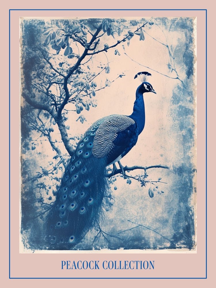Blue & White Peacock On A Tree Cyanotype Poster