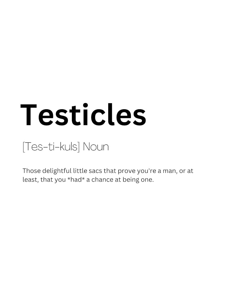 Testicles Definition Meaning