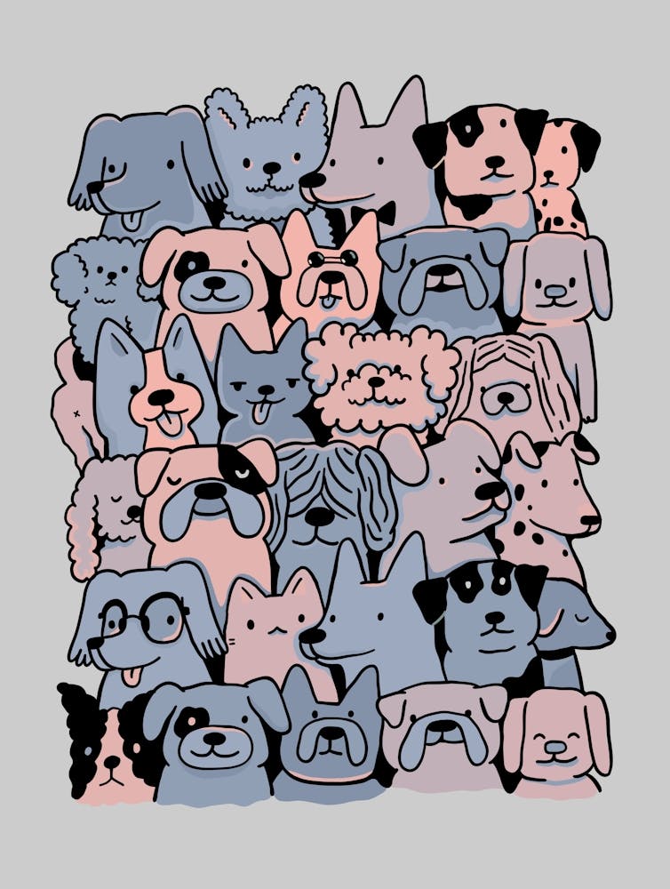 Doodle dogs