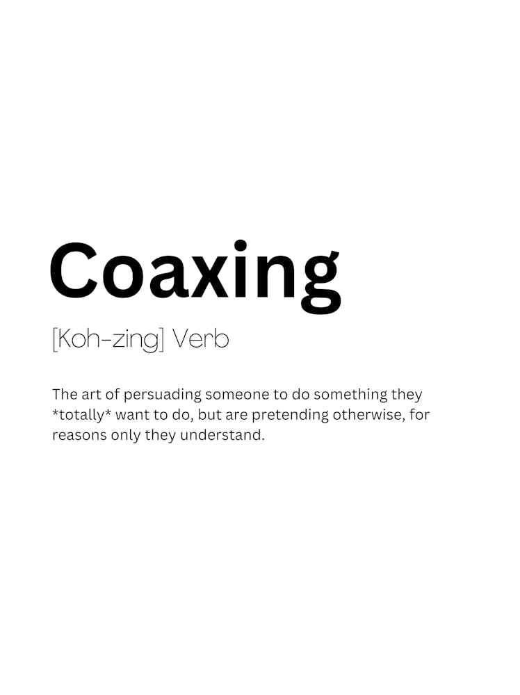 Coaxing Definition Meaning 1