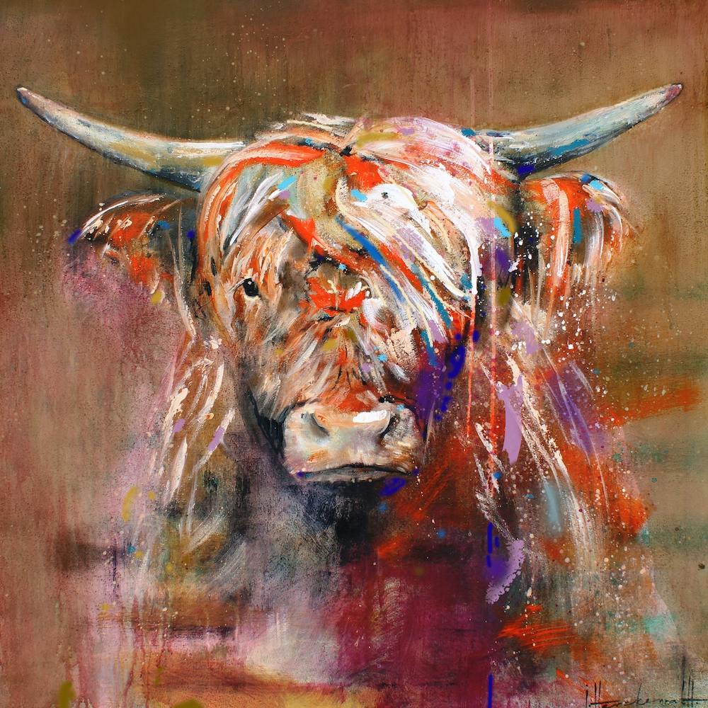 Higland Cow Friendly