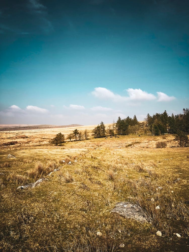 Dartmoor