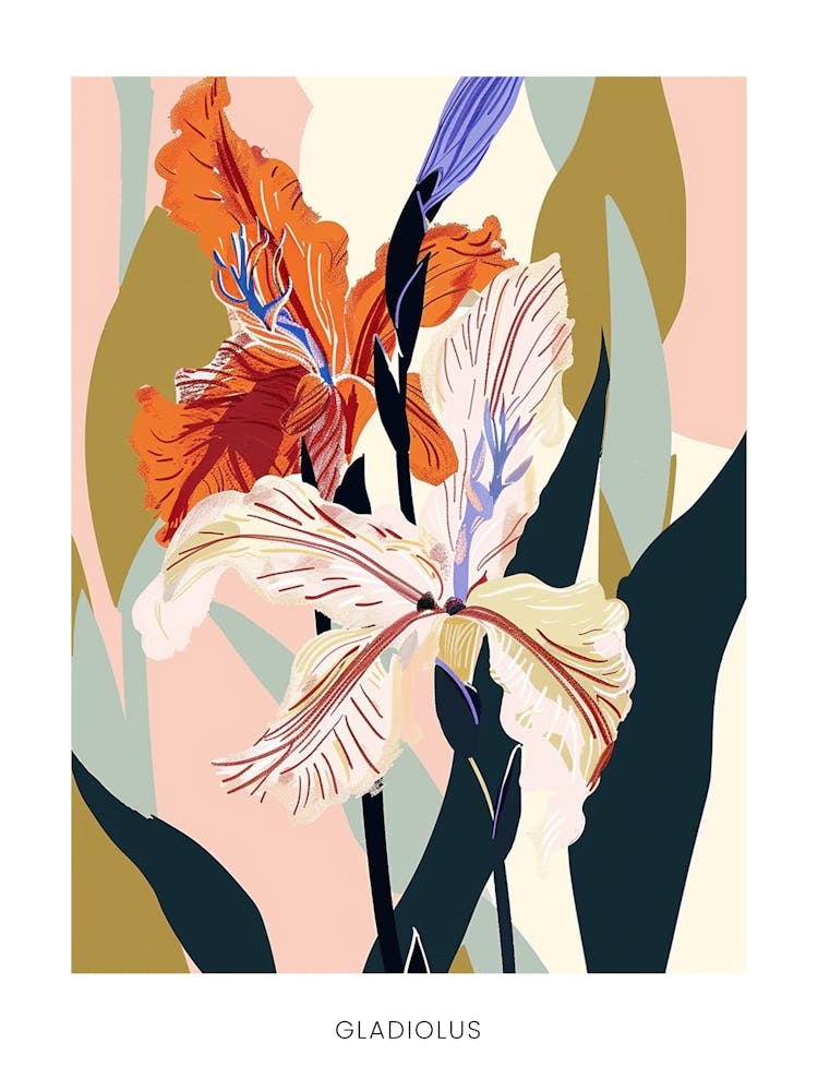 Colourful Flower Illustration Poster Gladiolus 1