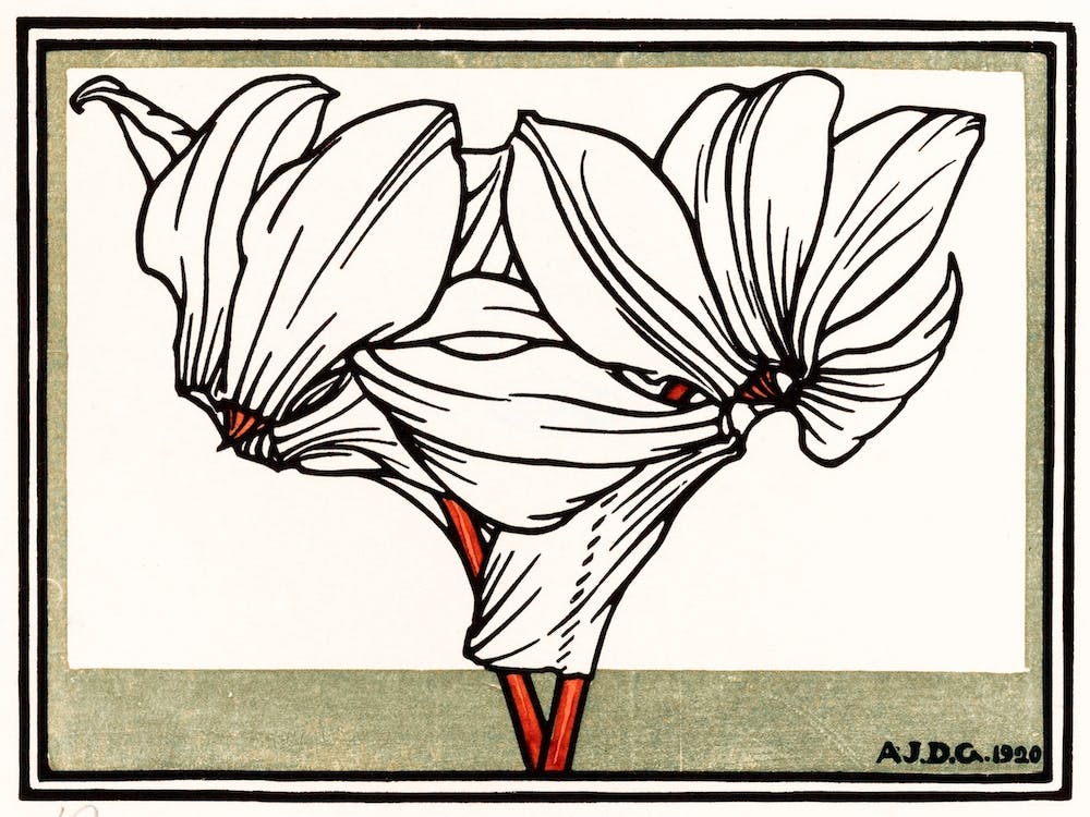 Cyclamen, Julie De Graag