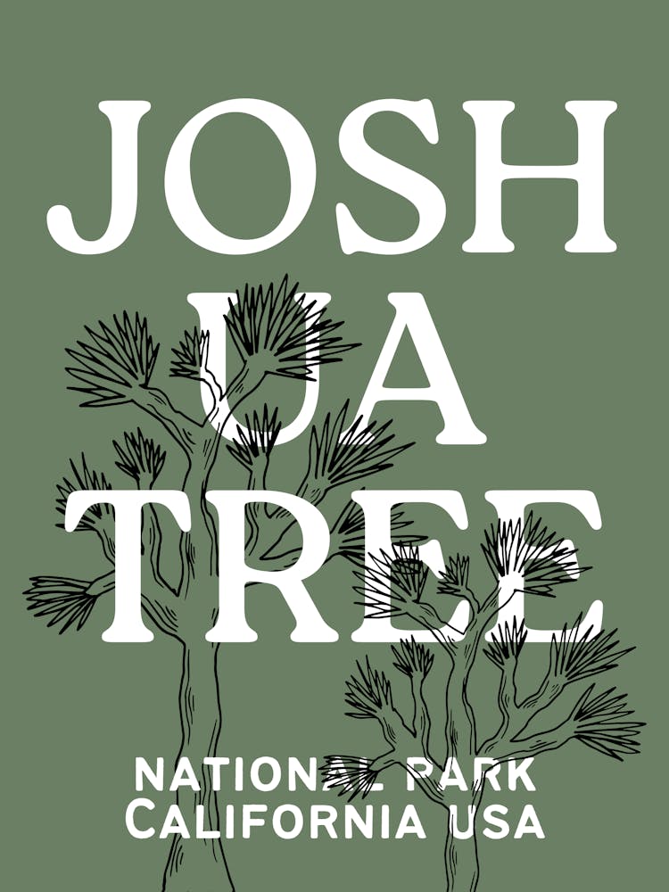 Joshua Tree National Park | California Desert Travel Landscape Scenery