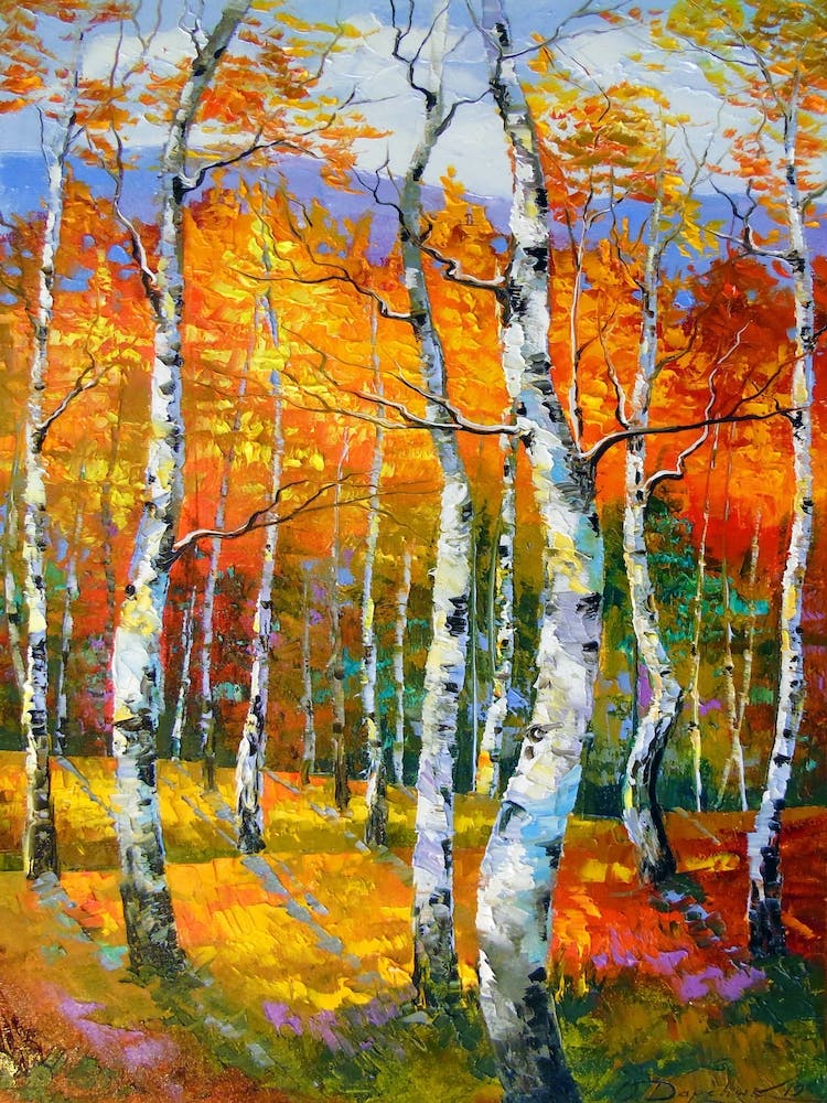 Birches in sunlight