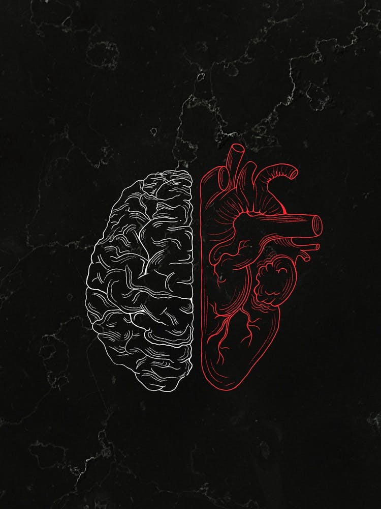 Brain And Heart