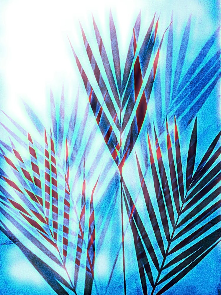 Blue and white Palm Leaves