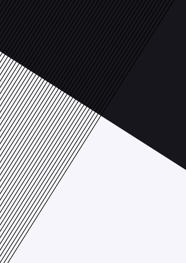 Geometric Minimalist