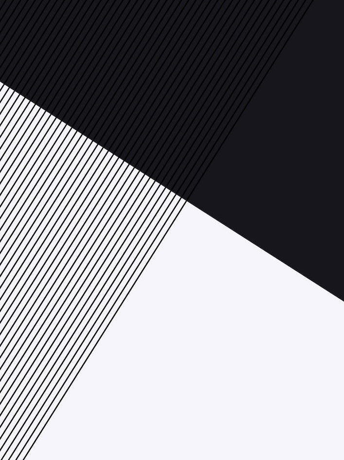 Geometric Minimalist